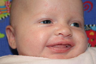 img_2175.jpg
